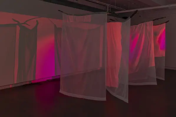 What if My Body is a Beacon for the World? exhibition at Koffler Arts